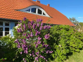 Our Baltic Sea house - Image 2