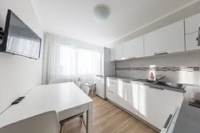 Large apartment Jablon, 3 bedrooms PVA EXPO Prague - Image 3