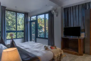 4 Bedrooms Penthouse apartment |Hillcrest| Kasauli - Image 3