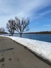 Mississippi River Front - Image 5