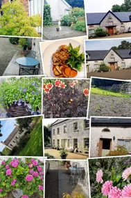 Adare Courtyard Selfcatering apt. - Image 4