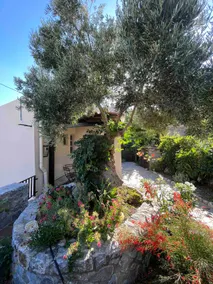Petasos - Image 2