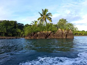 Chigua, Artisanal Cabin in the Jungle - Image 5