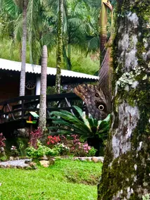 Olho D'água Ranch – Peace Surrounded by Nature - Image 2