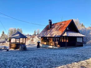 Sekulic Mountain Lodge - Image 4