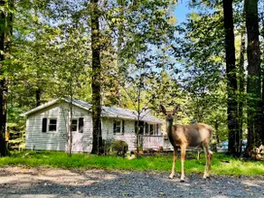 Pocono Lake House Kalahari, Camelback, Beach, A/C - Image 5