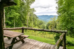 Jaw Dropping Views with Seclusion + 25 Mins to AVL - Image 2