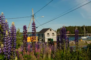 Sea Blessing Vacation House - Image 4