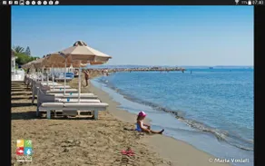 Panikos Beach Apartment I - Image 5