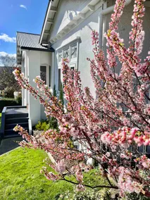 Carinya Charming Newstead home - Image 2