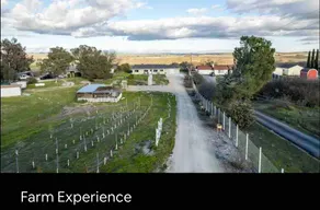 Grape Escape Farmhouse Paso Robles Vineyard views - Image 3