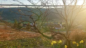 Vineyard house ”Ivanec” - Image 5