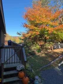 Secluded House with Views - Min to Ski - Image 4