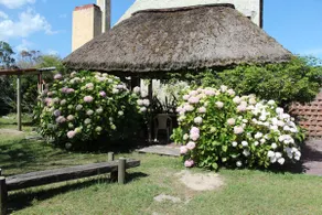 Casa Olas 1 - Image 3