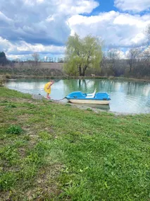 Country Lodge | Hot Tub • Waterfalls • Scenic Views • Farm Stay • Pond - Image 4