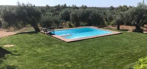 Doñana, El Rocío, Seville + Family + Friends and Rest. - Image 4