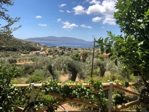 Evian Olive House - Image 5