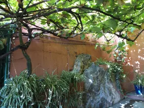 Bright 3 rooms with vine-covered terrace - Image 5