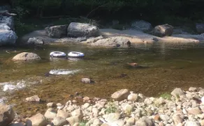Historic River House • Swimming Hole • Sauna - Image 2