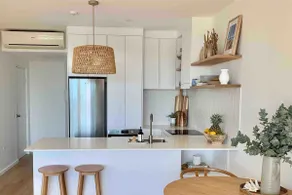 Alby’s - Cotton Tree - Image 5