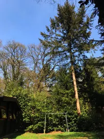The Cabin - Image 2