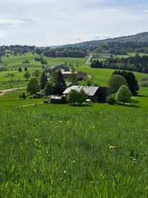 Quiet 70 m2 gîte in Les Rousses near the ski slopes and lake - Image 2
