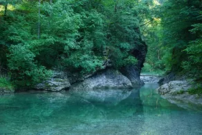 Slabnik Nature Escape - Image 5