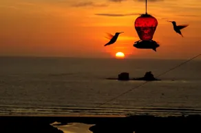 Mirador Ayampe-Colibri- ocean and mountain views - Image 2