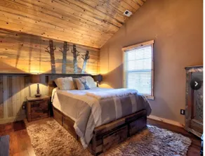 Private Mtn Cabin -GameRoom/Skiing/Peloton - Image 2