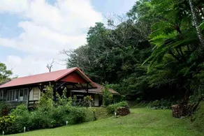G+, the hidden great nature& free BBQ grill rental - Image 4