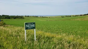 Green Gables Seaview Home with acres of serenity - Image 4