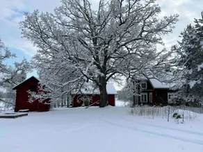 Cozy cottage for yourselves - Image 2