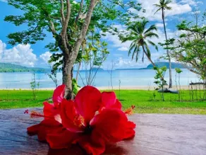 Absolute beach front bungalows - Image 3