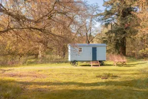 The Rewilder’s Hut - at Bamff Ecotourism - Image 2