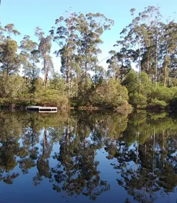 Jarrah Chalet - views - Image 3