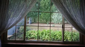 Dees place Milton Ulladulla NSW. - Image 3
