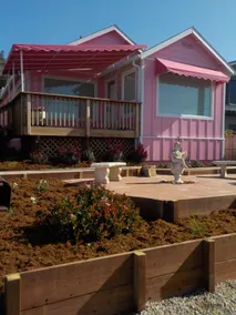 Perfect Pink Paradise - Image 4