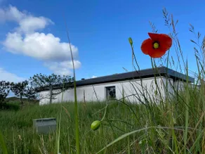 Cottage close to the North Sea. - Image 3
