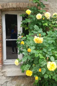 Gîte in an isolated farmhouse on the Champagne route - Image 2