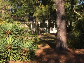 Cozy Bungalow by the Intracoastal. - Image 4