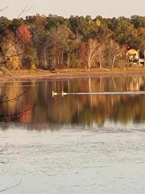 Family-friendly cozy log cabin nestled on lake - Image 5