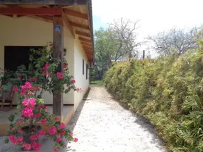 Coco Beach House - Image 3