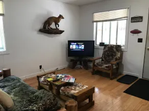 The cabin in the woods - Image 4