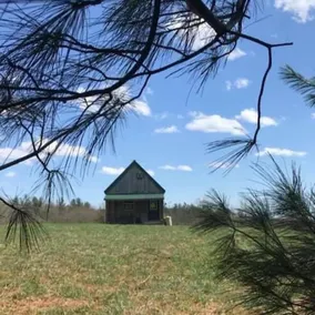 White Pine Cabin - Image 3