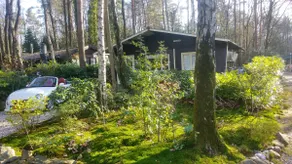 Bos chalet max. 4 pers. 9 km from Maastricht - Image 3
