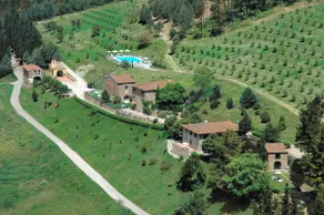 Superior apartment with valley and forest views - Image 4