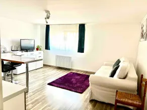 House near Basel/Mulhouse airport - Image 3