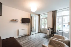 Lille Center/free parking/very quiet/air conditioning/A11 - Image 3