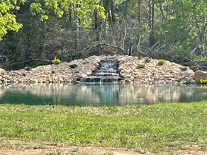 Secluded cabin in Elkton - Image 5