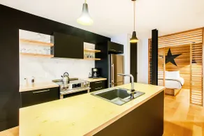 SP301 – Les Lofts St-Pierre – By Les Lofts Vieux-QC - Image 5
